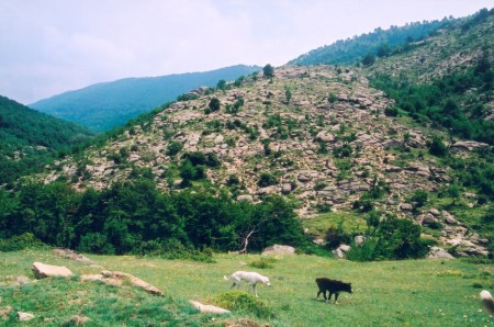 Пролет в Шарлия 5